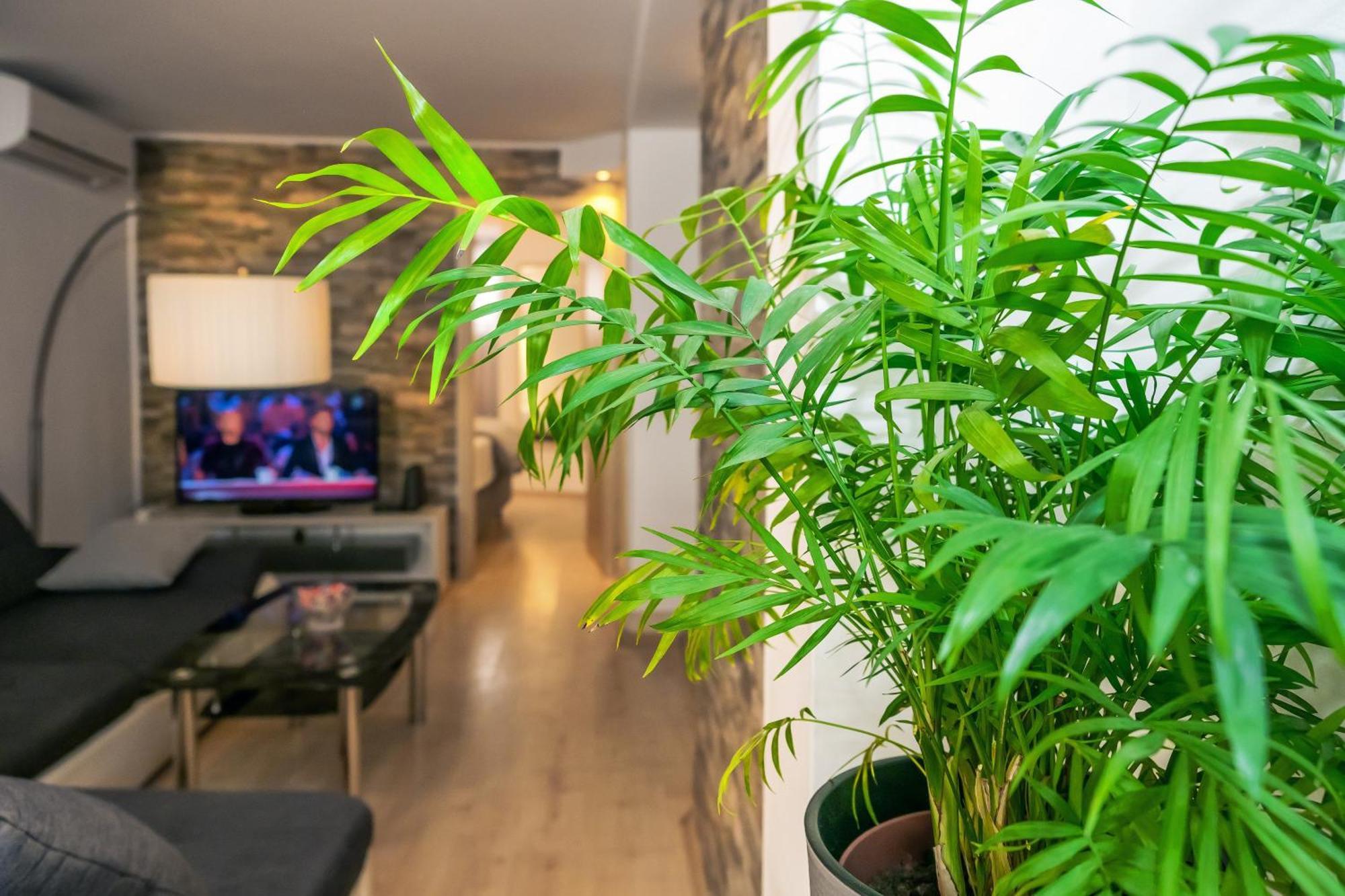 Relaxing 2Bd Apartment, Ground Floor - Walk To Old Town Split Ngoại thất bức ảnh